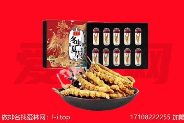 鞍山回收虫草.jpg